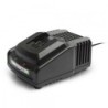 Chargeur rapide pour batterie 20V max