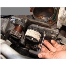 Marteau perforateur sans fil 20V - Sans batterie CONSTRUCTOR - 1