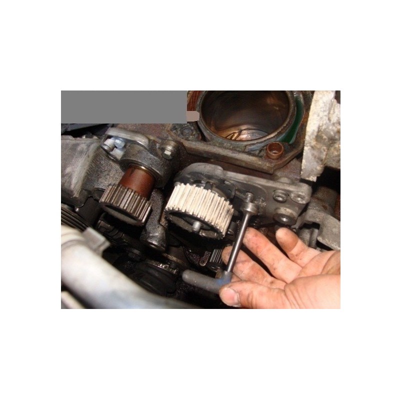 Marteau perforateur sans fil 20V - Sans batterie CONSTRUCTOR - 1